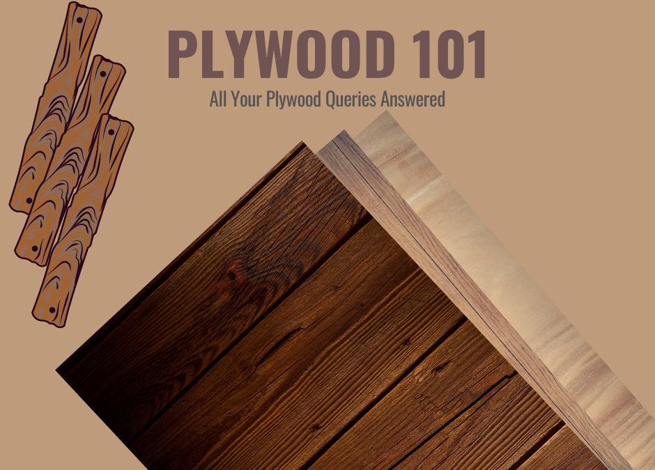 Plywood 101: The Ultimate Guide to Types, Uses & Buying Tips